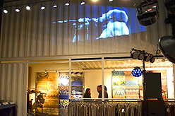 STACY LOGAN HOLIDAY EXTRAVAGANZA